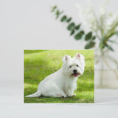 Schotter Postkarte (Stehend Vorderseite)