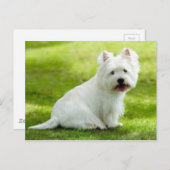 Schotter Postkarte (Vorne/Hinten)