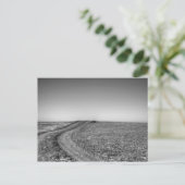 Schotter Weg über mattierte Weide Postkarte (Stehend Vorderseite)