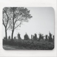 Schotterweg durch Feld B&W