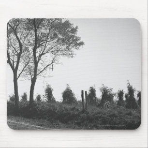 Schotterweg durch Feld B&W Mousepad
