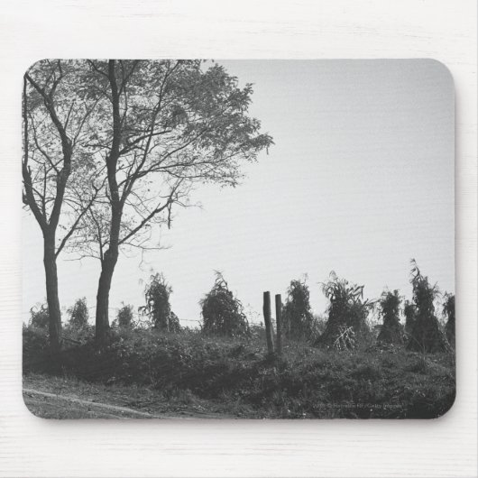 Schotterweg durch Feld B&W Mousepad (Vorne)