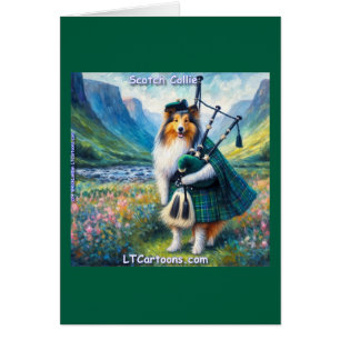 Schottische Collie-Serenade – Dudelsack und Tartan