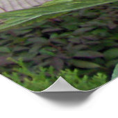 Schottische Dickicht Poster (Ecke)