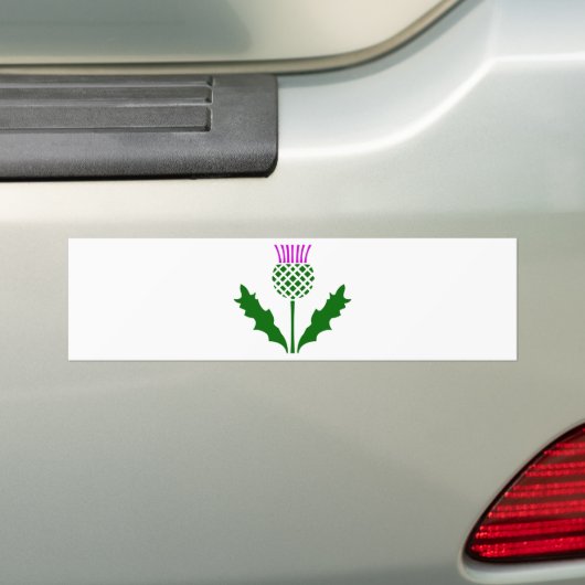 Schottische Distel Autoaufkleber (Auf Auto)