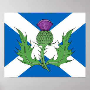 Schottische Distel und Saltire Poster