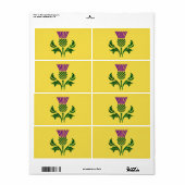 Schottische Emblemdistel (Vorne)