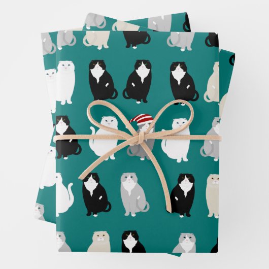 Schottische Faltschachtel Geschenkpapier Set (Beispiel)