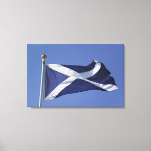 Schottische Flagge Leinwanddruck