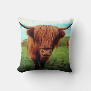Schottische Highlander-Kuh Kissen