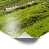 Schottische Highlands Fotodruck (Ecke)