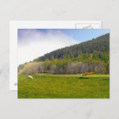 Schottische Highlands-Landschaft Postkarte (Vorne/Hinten)