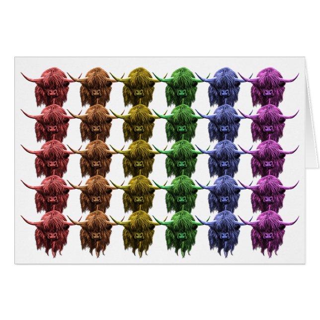 Schottische Hochland-Kuh (Vorderseite (Horizontal))