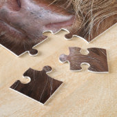 Schottische Hochland-Kühe - Schottland Puzzle (Seite)