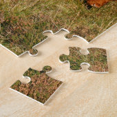 Schottische Hochland-Kühe - Schottland Puzzle (Seite)