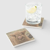 Schottische Hochlandbaby-Kuhphotographie Steinuntersetzer (Seitenansicht)