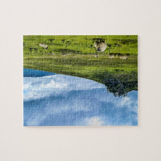 Schottische Hochländer Puzzle (Horizontal)