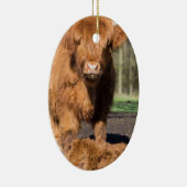 Schottische Hochländerkuh der Mutter nahe Keramikornament (Rechts)