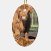 Schottische Hochländerkuh der Mutter nahe Keramikornament (Links)