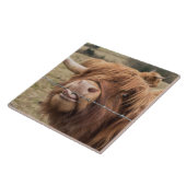 Schottische Hochlandkuh Fliese (Seite)