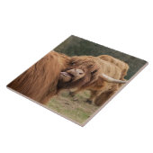 Schottische Hochlandkuh Fliese (Seite)