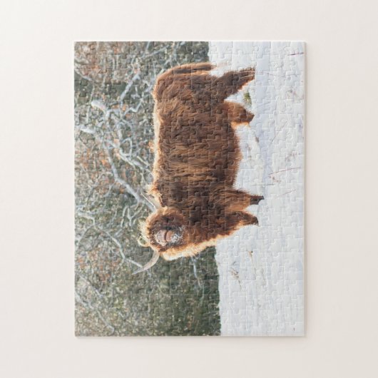 Schottische Hochlandkuh im Schnee Puzzle (Vertikal)
