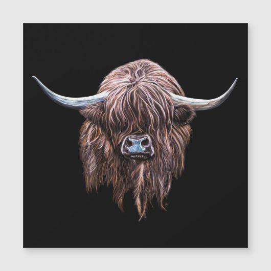 Schottische Hochlandkuh in Farbe Magnetkarte (Vorderseite)