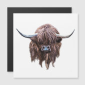 Schottische Hochlandkuh in Farbe Magnetkarte (Vorne/Hinten)