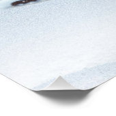 Schottische Hochlandkuh in Schlitten Poster (Ecke)