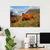 Schottische Hochlandkuh in Schottland, Highlander Poster (Heimbüro)
