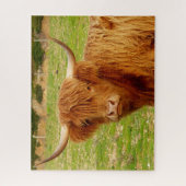 Schottische Hochlandkuh Puzzle (Vertikal)