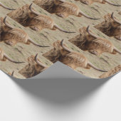 Schottische Hochlandkuhverpackung Geschenkpapier (Ecke)