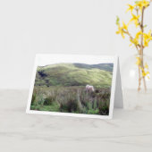 Schottische Hochlandlandlandschaft Karte (Gelbe Blume)