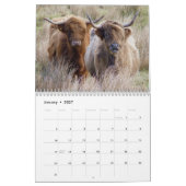 Schottische Hochlandrinder Kalender (Jan 2027)