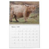 Schottische Hochlandrinder Kalender (Feb 2027)