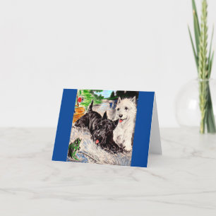 Schottische Hunde, Blackie und Whitie