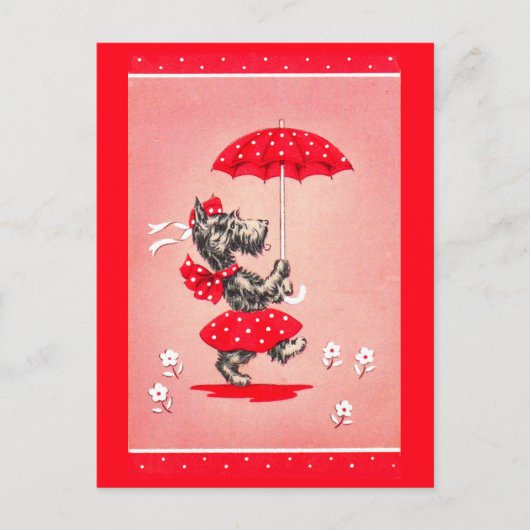 Schottische Hundedame mit Schirm Postkarte (Vorderseite)