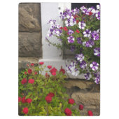 Schottische Hütte mit Petunien und Rose Klemmbrett (Rückseite)