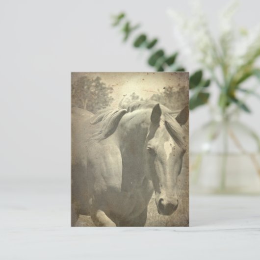 Schottische Imitate Vintag Postkarte (Stehend Vorderseite)