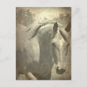 Schottische Imitate Vintag Postkarte (Vorderseite)