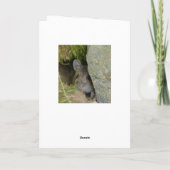 Schottische Kiefernmartenkarte Karte (Rückseite)