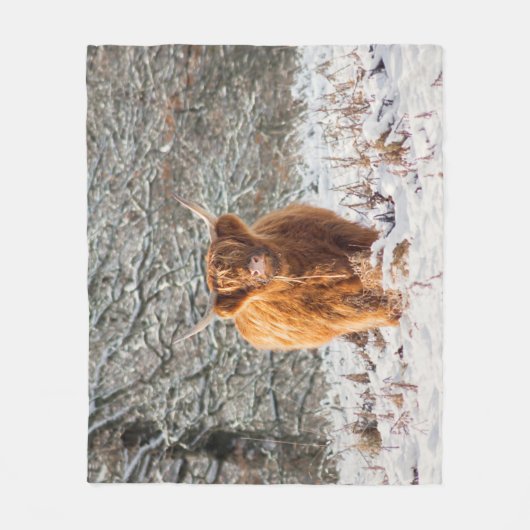 Schottische Kuhdecke Fleecedecke (Vorderseite)