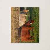 Schottische Kühe im Hochland in einer Weide Puzzle (Vertikal)