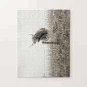 Schottische Kuhphotographie Puzzle (Vertikal)