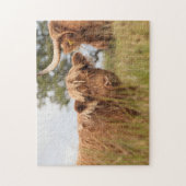 Schottische Kuhphotographie Puzzle (Vertikal)