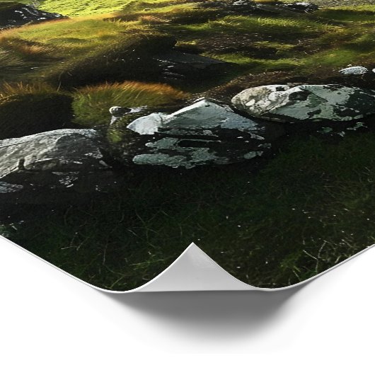 Schottische Landschaft Poster (Ecke)