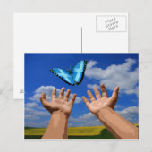 Schottische Schmetterlingsfliege nach der Karte (Vorne/Hinten)