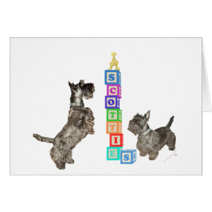 Schottische Terrier Alphabet-Blöcke