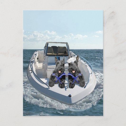 Schottische Terrier auf dem Schiff Postkarte (Vorderseite)