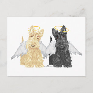 Schottische Terrier Engel Postkarte